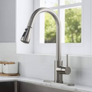 Kitchen Faucets